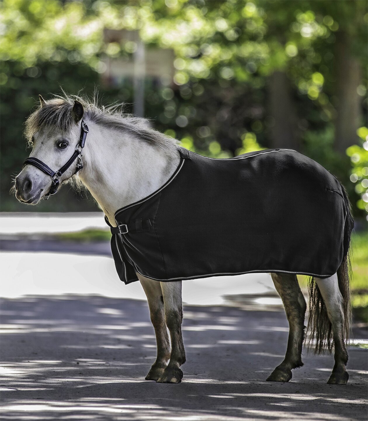 Waldhausen Abschwitzdecke Economic für Shetty oder Pony