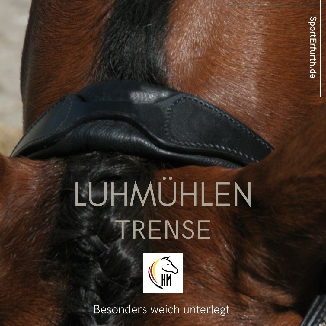 Trense von HM Luhmühlen