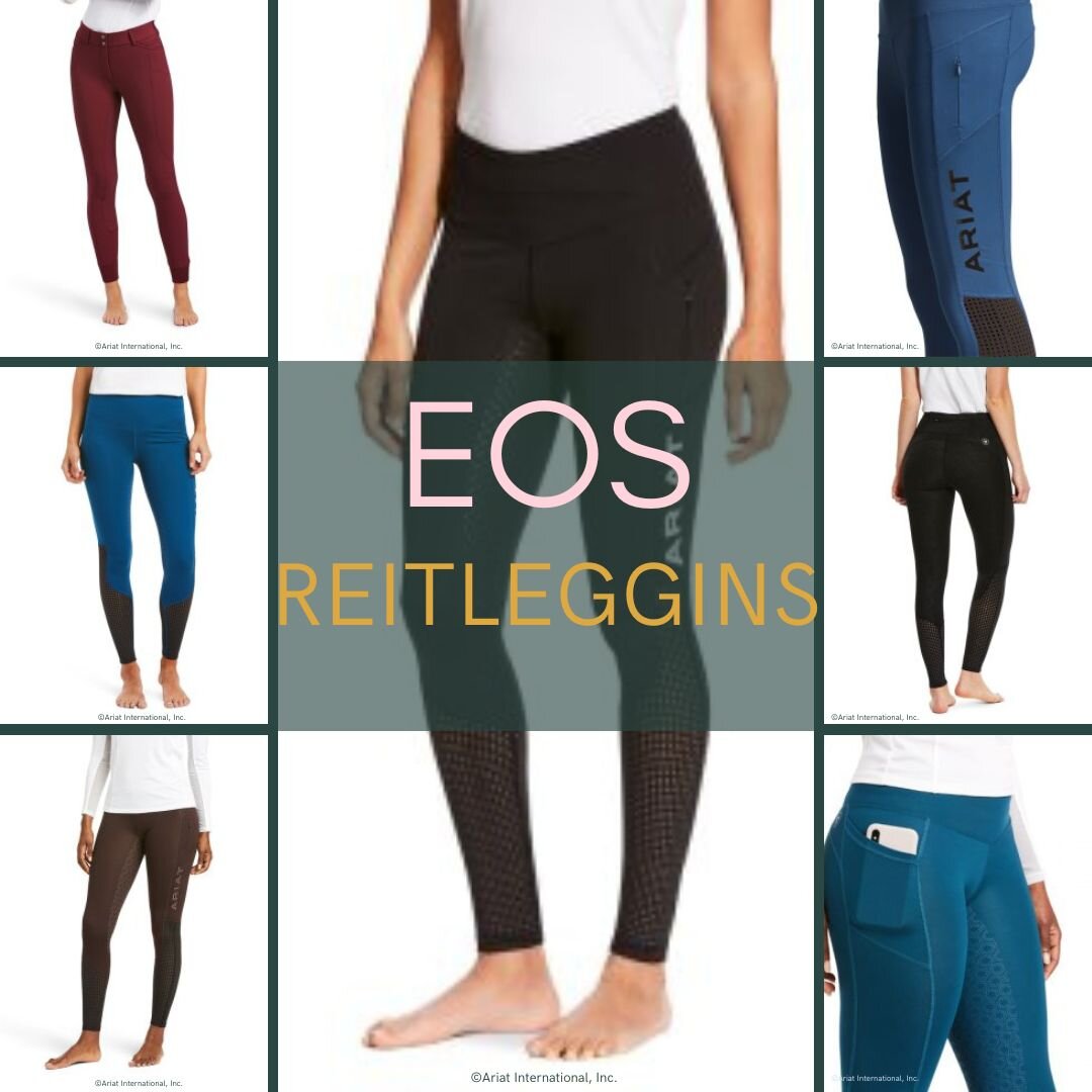 Reitleggins EOS von Ariat