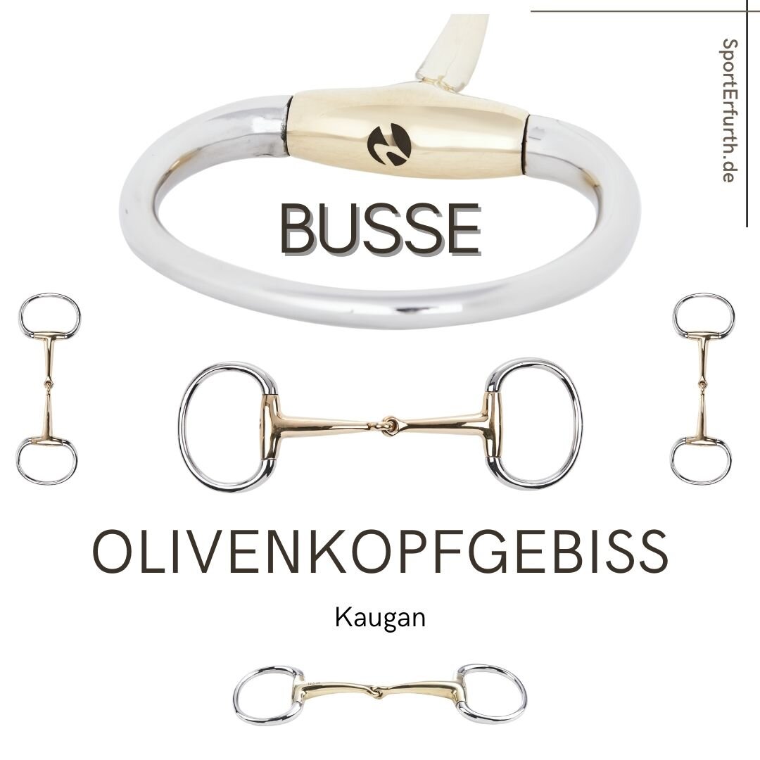 Olivenkopfgebiss Kaugan von Busse