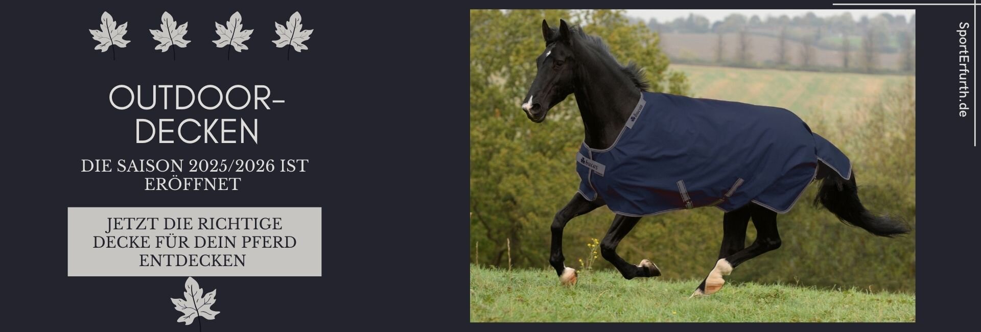 Schwarzes Pferd mit blauer Outdoordecke galoppiert über...