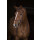 Rambo Micklem Competition Bridle SH=Warmblut braun
