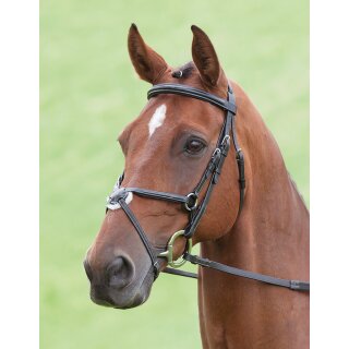 Trense Salisbury mex. RH schwarz Extra Full