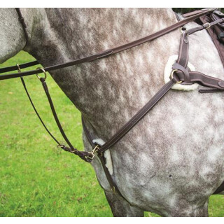 Shires Vorderzeug Salisbury Pony havanna