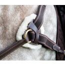 Shires Vorderzeug Salisbury Cob=VB schwarz