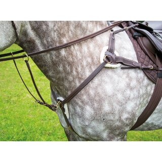 Shires Vorderzeug Salisbury Full=WB schwarz