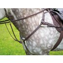 Shires Vorderzeug Salisbury Full=WB schwarz