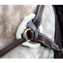 Shires Vorderzeug Salisbury Full=WB schwarz