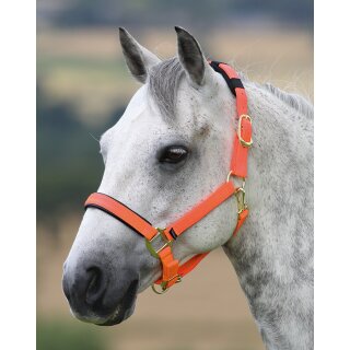 Halfter Topaz orange Full=WB