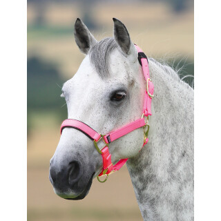 Halfter Topaz pink Full=WB