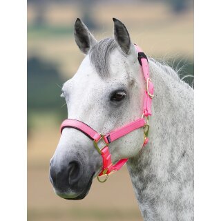 Halfter Topaz pink XFull