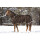 Horseware Rambo Duo 100g mit 300g Liner