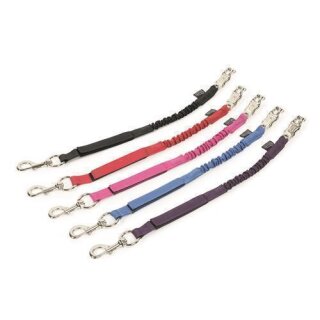 Shires Anbinder Elastik