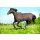 Horseware Rhino Wug Medium 200g