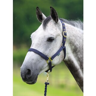 Halfter Set Wessex inkl.Strick navy Cob=VB