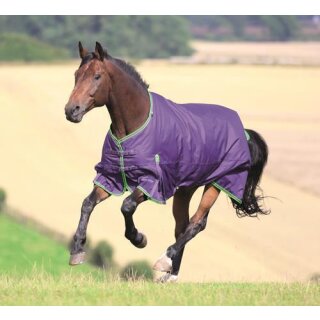 Shires Highlander Original 100