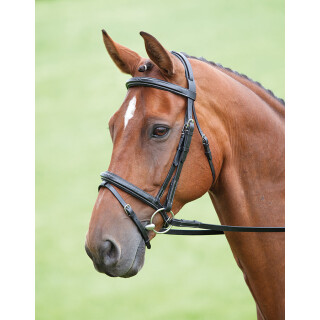 Shires Trensenzaum Salisbury Bodenham australian nut Pony