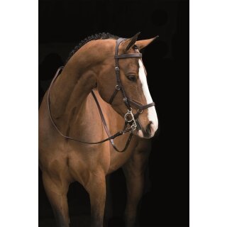 Rambo Micklem Deluxe Competition Bridle engl. leather