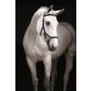 Rambo Micklem Deluxe Competition Bridle engl. leather