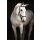 Rambo Micklem Deluxe Competition Bridle engl. leather