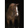 Rambo Micklem Deluxe Competition Bridle engl. leather P=Pony schwarz
