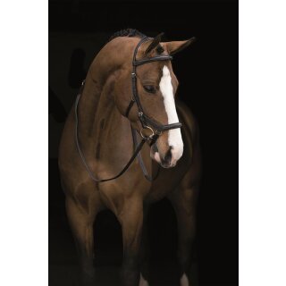 Rambo Micklem Deluxe Competition Bridle engl. leather SC=Vollblut schwarz