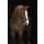 Rambo Micklem Deluxe Competition Bridle engl. leather SC=Vollblut schwarz