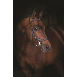 Rambo Micklem Deluxe Competition Bridle engl. leather SC=Vollblut braun