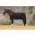 Horseware Rambo Airmax Cooler Disc Front