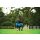 Horseware Mio Turnout 200g KCTK-black with turquoise&black 72"=130cm