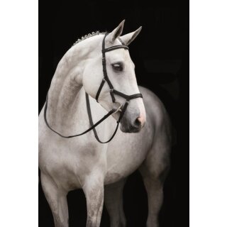 Rambo Micklem Dia Competition Bridle engl. leather 2. Wahl
