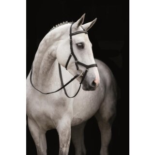 Rambo Micklem Dia Competition Bridle engl. leather