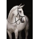 Rambo Micklem Dia Competition Bridle engl. leather 2. Wahl