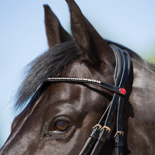 Kieffer Trensenzaum  Catalina mit Ohrenausschnitt schwarz/schwarz unterlegt Warmblut