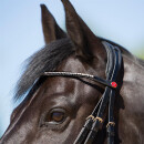 Kieffer Trensenzaum  Catalina mit Ohrenausschnitt schwarz/schwarz unterlegt Warmblut