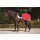 Horseware Amigo Competition Sheet RWGK-red/white, green, black S-115-125cm Rückenlänge