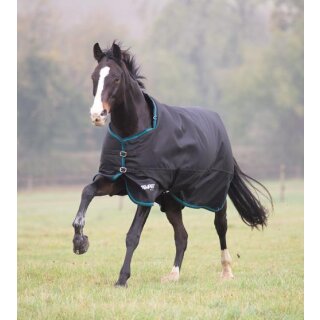 Shires Tempest Plus 300