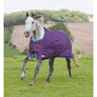 Shires Tempest Original 300 purple-royal 75"=145cm
