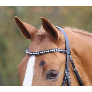 Shires Stirnband Large Diamant schwarz Pony-ca.35cm