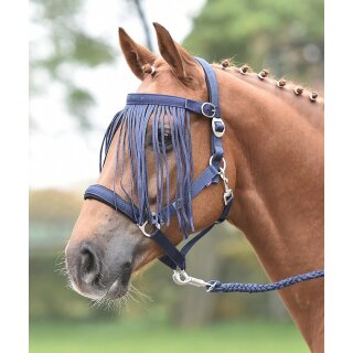 Busse Fliegenkordelband TAMPERE navy P=Pony