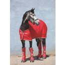 Horseware Amigo Jersey Cooler Abschwitzdecke