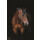 Horseware Halfter Amigo RWGK-Red/White/Green/Black Cob-Vollblut