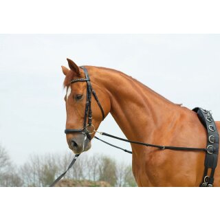 Ausbindezügel BASIC-STARR schwarz/NP G-Pony/VB