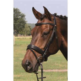 Hans Melzer Trense Bad Harzburg schwarz/silberne Edelstahlbeschläge Pony