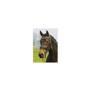 Hans Melzer Trense Valluhn schwarz/silberne Edelstahlbeschläge Pony