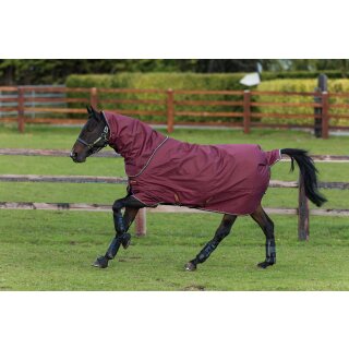 Horseware Amigo Hero ACY Plus 100g