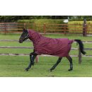 Horseware Amigo Hero ACY Plus 100g