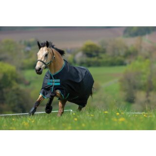 Horseware Amigo Hero 900Fleece Lnd 50g