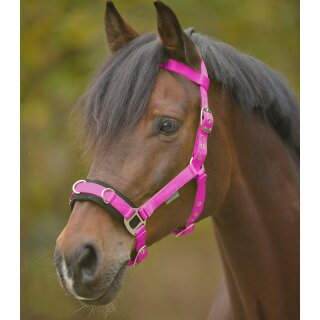Kappzaum Economic 31-pink Pony