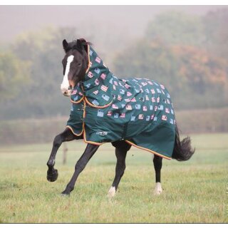 Shires Tempest Original 200 Combo pink nebular